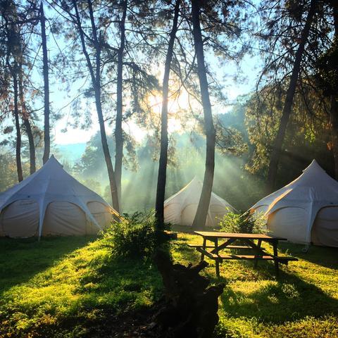 A Brief History Of Camping & Glamping - Lotus Belle Tents